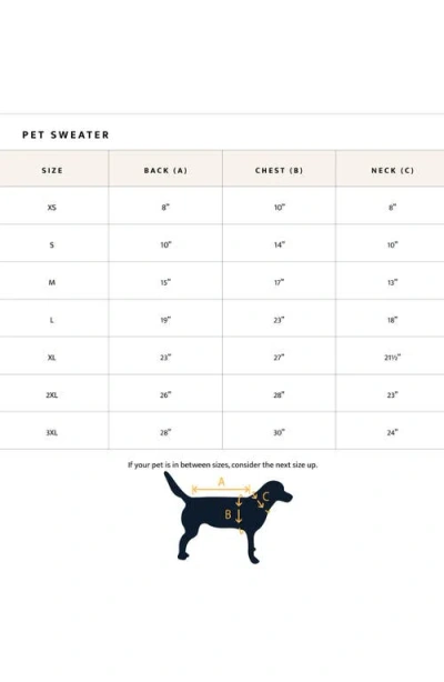 Pendleton Pet Sweater In Black