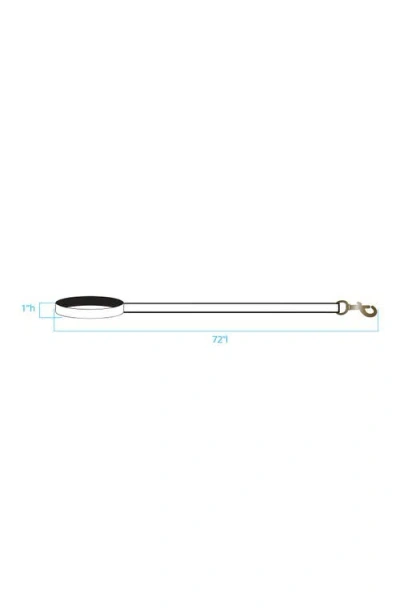 Pendleton Adventure Leash In Harding