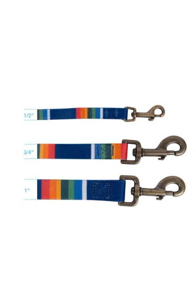Pendleton National Park Adventure Leash In Multi