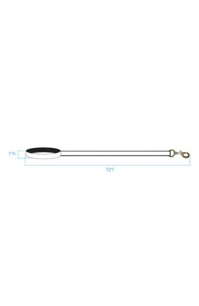 Pendleton National Park Adventure Leash In Multi