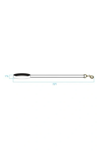 Pendleton Adventure Leash In Multi