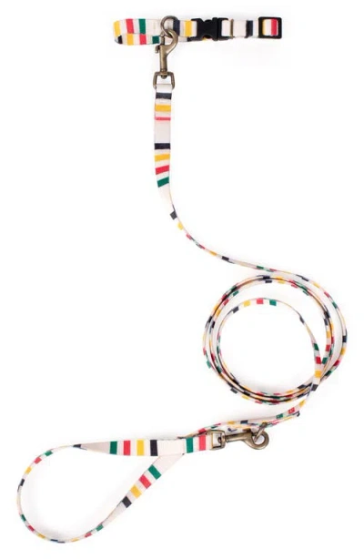 Pendleton National Park Adventure Collar In Multi