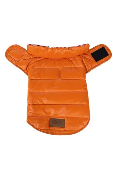Pendleton Puffer Dog Coat In Orange