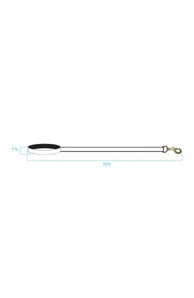 Pendleton Adventure Leash In Multi