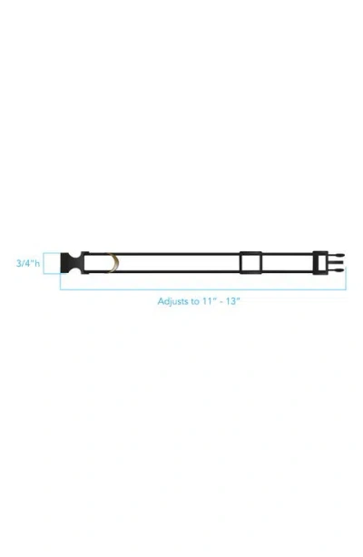 Pendleton Adventure Collar In Multi