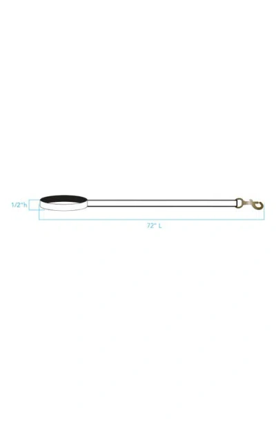 Pendleton National Park Adventure Leash In Multi