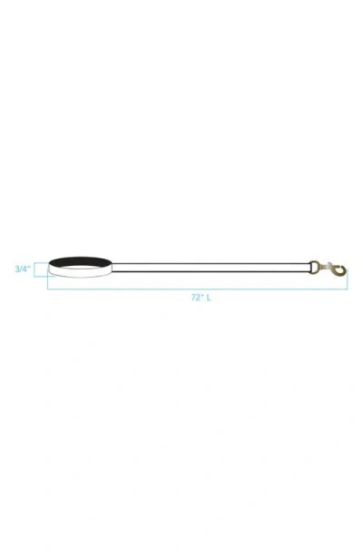 Pendleton National Park Adventure Leash In Multi