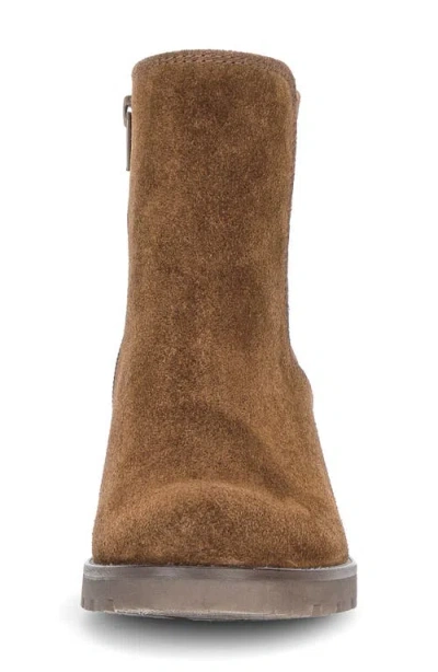 Gabor 72.800 Bootie In Cognac
