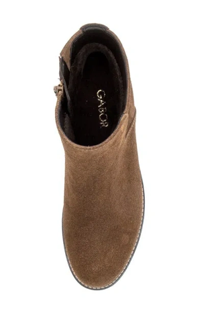 Gabor 72.800 Bootie In Cognac