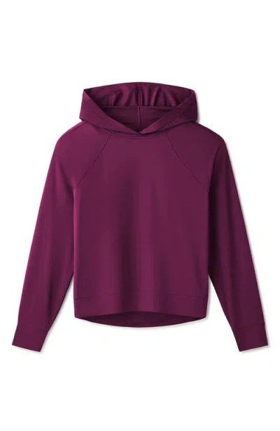Rhone Serene Studio Hoodie In Multi