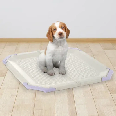 Richell Mesh Potty Holder In Multicolored