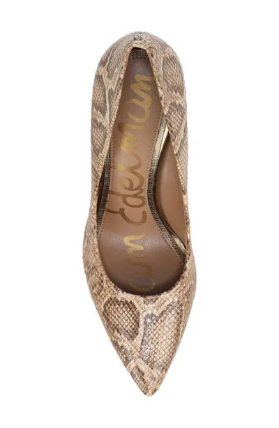 Sam Edelman Hazel Pointed Toe Pump In Light Sand Snake Print