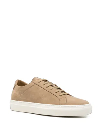 Common Projects Nubuck-leather Sneakers In Brown