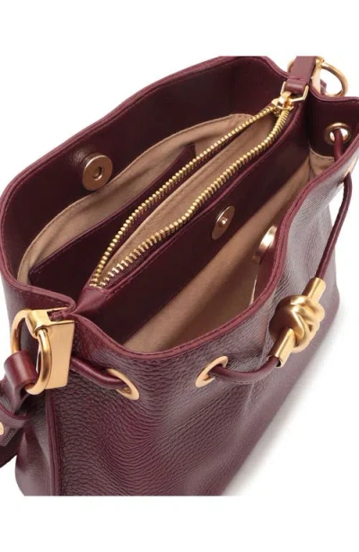 Arezzo Small Daphne Leather Crossbody Bag In Fresh Ruby
