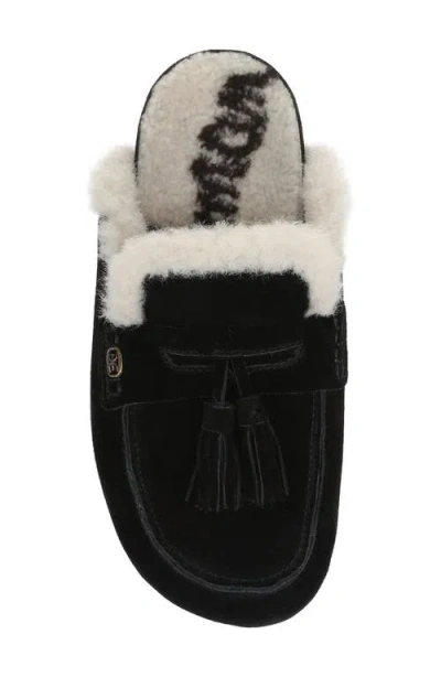 Sam Edelman Astrid Genuine Shearling Lined Mule In Black
