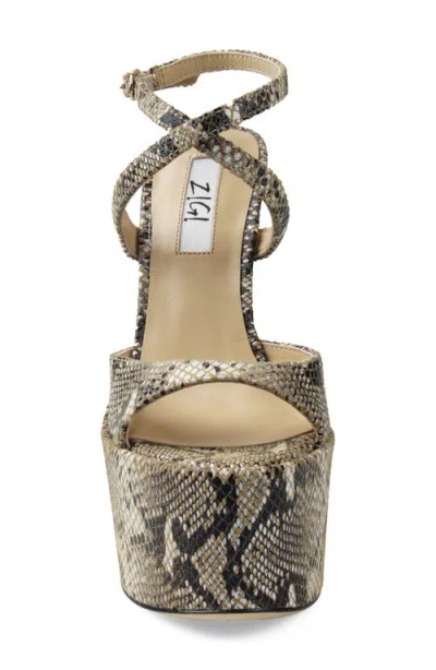 Zigi Ankle Strap Platform Sandal In Bone Snake Embossed Leather