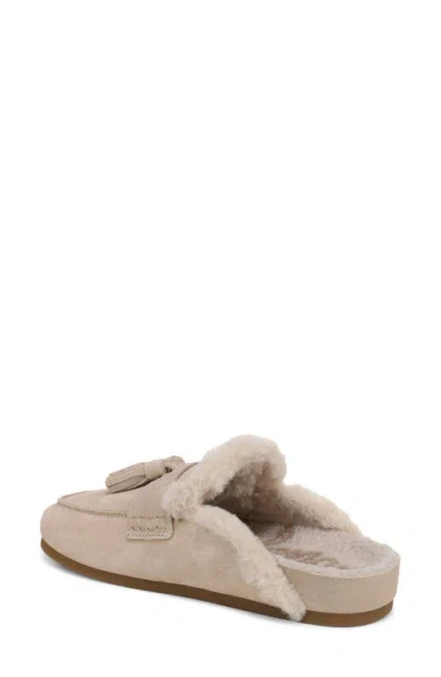 Sam Edelman Astrid Genuine Shearling Lined Mule In Sesame