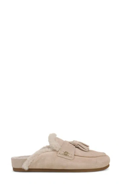 Sam Edelman Astrid Genuine Shearling Lined Mule In Sesame