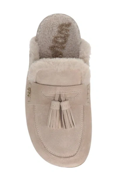 Sam Edelman Astrid Genuine Shearling Lined Mule In Sesame
