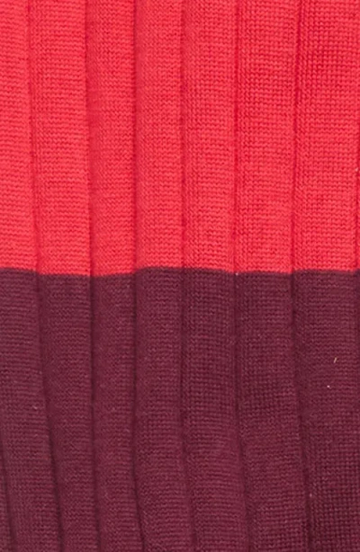 Plan C Bicolor Ribbed Socks In Multi