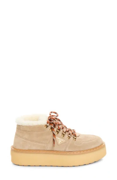 Prada Genuine Shearling Platform Boot In Deserto