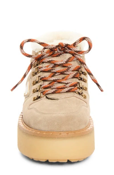 Prada Genuine Shearling Platform Boot In Deserto