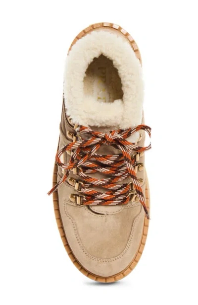 Prada Genuine Shearling Platform Boot In Deserto