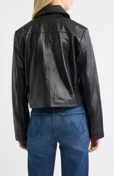 Bernardo Short Leather Jacket In Black