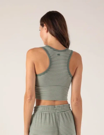 Softflex Take It Easy Bra In Basil/oatmilk Stripes
