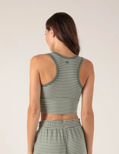 Softflex Take It Easy Bra In Basil/oatmilk Stripes