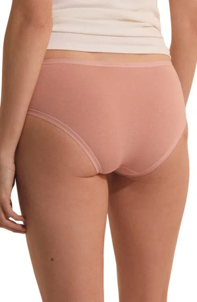 Etam 3-pack Shorty Briefs In Multi
