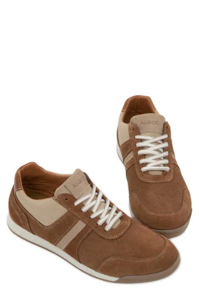 Naot Spin Sneaker In Brown Suede Combo