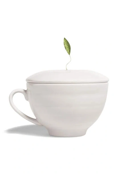 Tea Forte Tea Forté Tea Tasting Bundle 2-piece Set In No Color