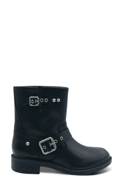 Ash Flame Lily Leather Bootie In Black