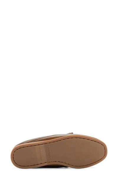 Sperry Ao Leather Mule In Brown