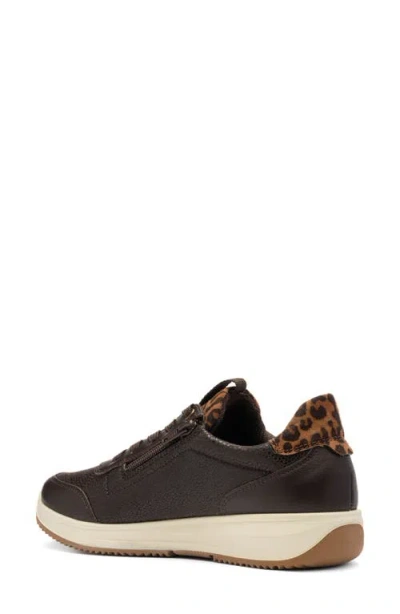Ara Oolong Sneaker In Brown