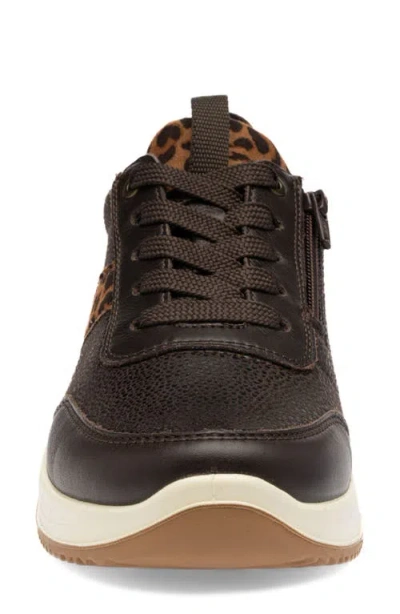 Ara Oolong Sneaker In Brown