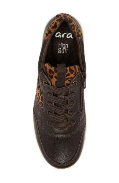 Ara Oolong Sneaker In Brown