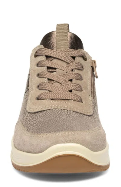 Ara Oolong Sneaker In Beige
