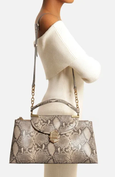 Arezzo Everly Medium Snake Embossed Leather Satchel In Snake