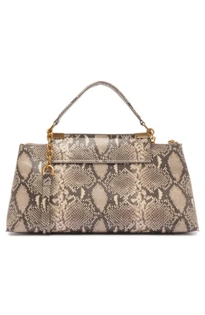 Arezzo Everly Medium Snake Embossed Leather Satchel In Snake