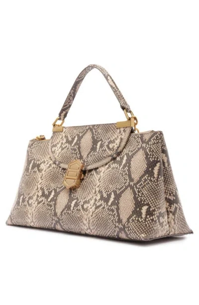 Arezzo Everly Medium Snake Embossed Leather Satchel In Snake
