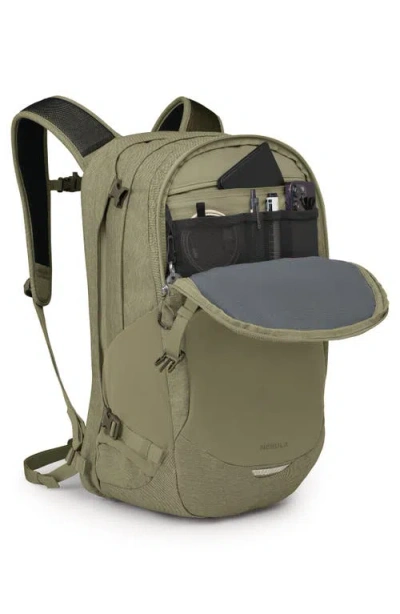 Osprey Nebula Backpack In Olive Tan