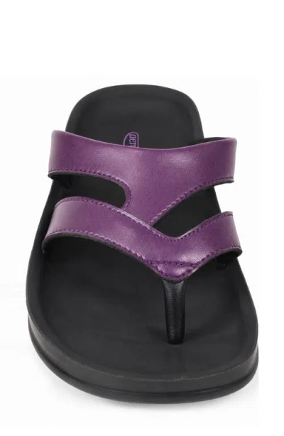 Aerothotic Raido Flip Flop In Plum