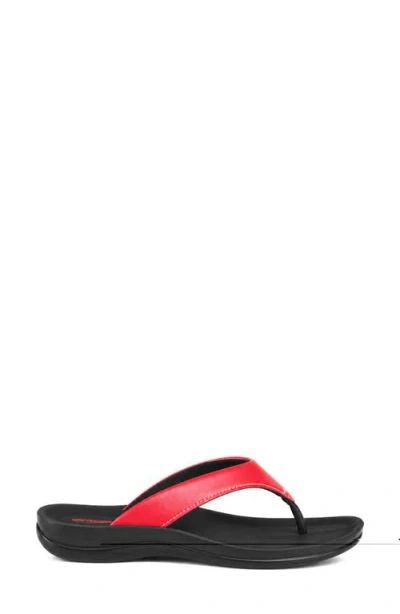 Aerothotic Amicia Flip Flop In Red