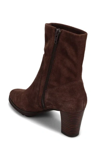 Vaneli Dalis Bootie In Dark Moro