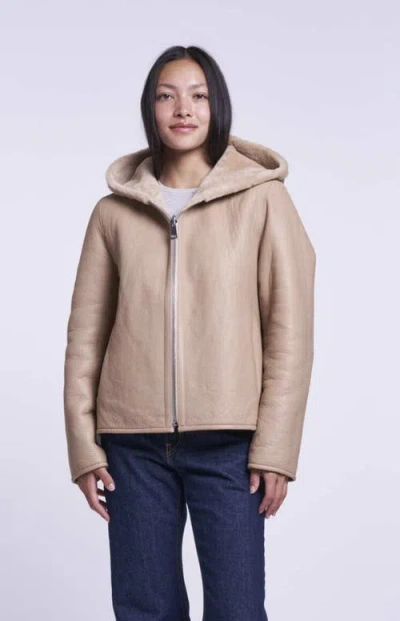 Blue Duck Cropped Shearling Jacket In Beige
