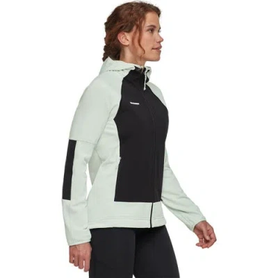 Mammut Massone ml Hooded Jacket In Multi