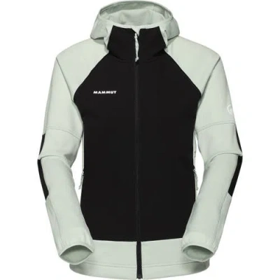 Mammut Massone ml Hooded Jacket In Multi
