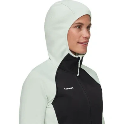 Mammut Massone ml Hooded Jacket In Multi